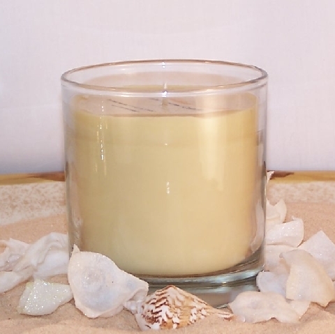 Bath and Body Mango Martini Candle